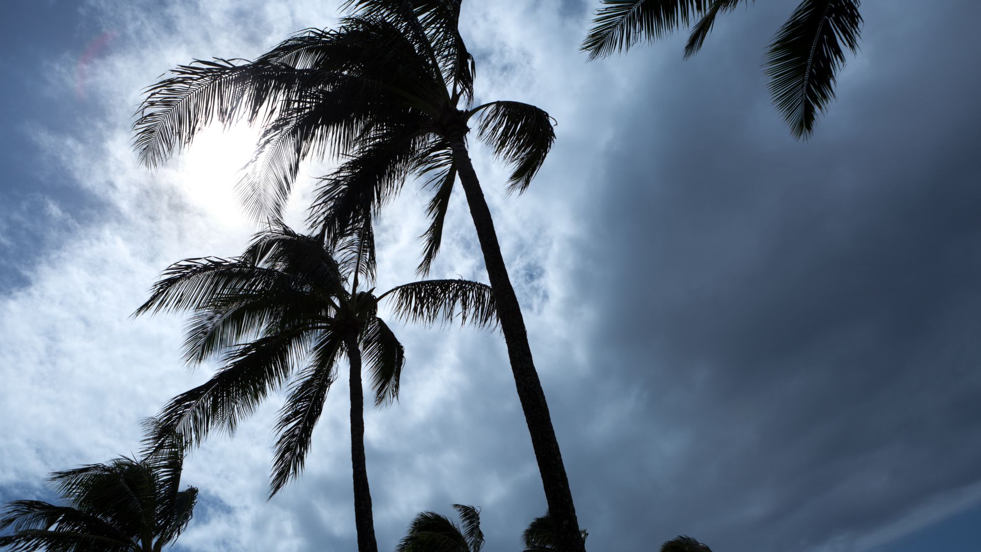 hurricane prep in Punta Gorda florida